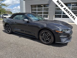 Used 2023 Ford Mustang Premium image 1