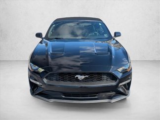 Used 2019 Ford Mustang Premium video 2