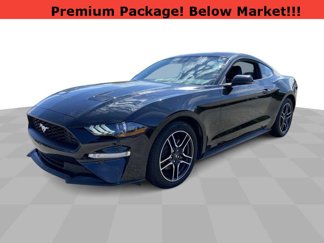 Used 2021 Ford Mustang Premium w/ Equipment Group 201A image 1