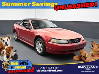 Used 2001 Ford Mustang Convertible image 1
