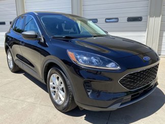 Used 2022 Ford Escape SE image 1