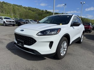 Used 2022 Ford Escape SE image 1