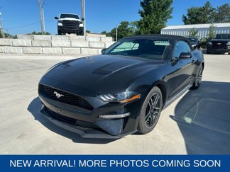 Used 2022 Ford Mustang Premium image 1