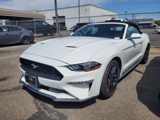 Used 2022 Ford Mustang Premium image 1