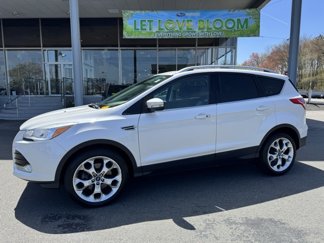 Used 2015 Ford Escape Titanium image 1