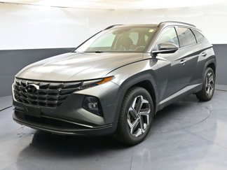 Used 2022 Hyundai Tucson Limited image 1