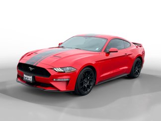 Used 2019 Ford Mustang Premium w/ Ecoboost Performance Package image 1