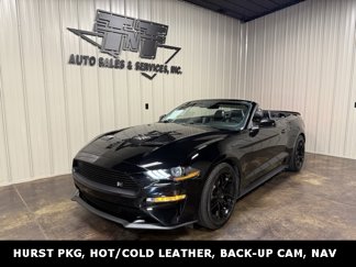 Used 2019 Ford Mustang Premium w/ Equipment Group 201A image 1