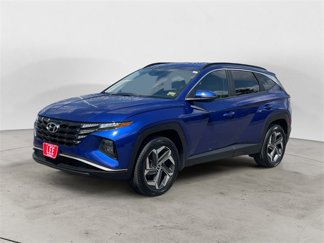 Used 2023 Hyundai Tucson SEL w/ Convenience Package image 1