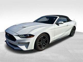 Used 2020 Ford Mustang Premium image 1