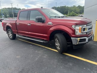 Used 2019 Ford F150 XLT w/ Equipment Group 302A Luxury image 1