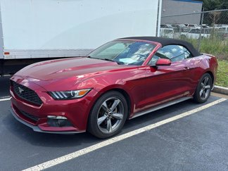 Used 2015 Ford Mustang Premium image 1