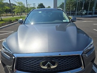 Used 2019 INFINITI QX50 Luxe w/ Protection Package image 1