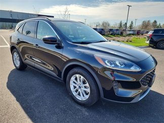 Used 2020 Ford Escape SE image 1