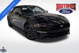 Certified 2021 Ford Mustang Premium w/ Equipment Group 201A image 1