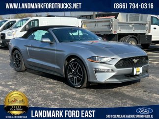 Used 2021 Ford Mustang Premium image 1