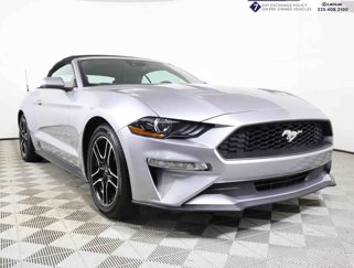 Used 2023 Ford Mustang Premium image 1
