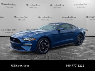 Used 2022 Ford Mustang Premium w/ Equipment Group 201A image 1