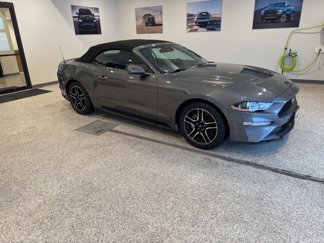 Used 2023 Ford Mustang Premium w/ Equipment Group 201A image 1