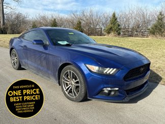 Used 2016 Ford Mustang Premium w/ Equipment Group 201A image 1