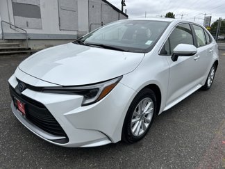 Certified 2024 Toyota Corolla XLE image 1