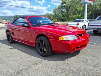 Used 1997 Ford Mustang Cobra image 1