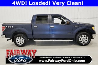 Used 2014 Ford F150 XLT w/ Equipment Group 302A Luxury image 1