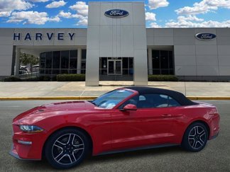 Used 2019 Ford Mustang Premium image 1