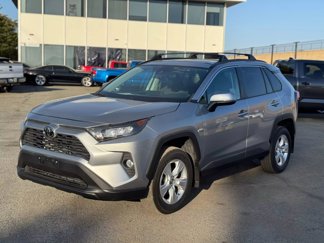 Used 2020 Toyota RAV4 XLE w/ Convenience Package image 1