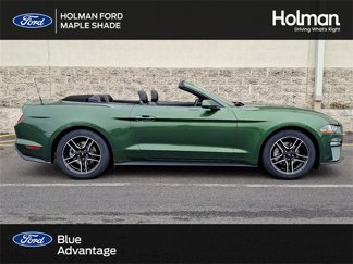 Used 2023 Ford Mustang Premium image 1