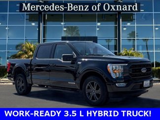 Used 2023 Ford F150 XLT w/ Equipment Group 302A High image 1