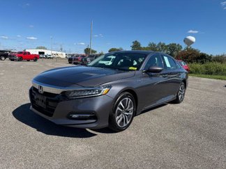 Used 2019 Honda Accord Touring image 1