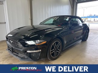 Used 2021 Ford Mustang Premium image 1