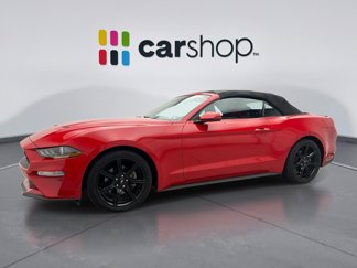 Used 2019 Ford Mustang Premium w/ Equipment Group 201A image 1