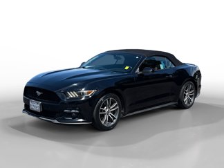 Used 2017 Ford Mustang Premium image 1
