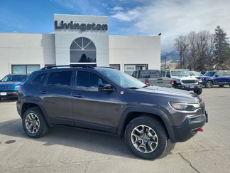 Used 2022 Jeep Cherokee Trailhawk image 1