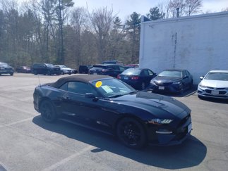 Used 2019 Ford Mustang Premium w/ Equipment Group 201A image 1