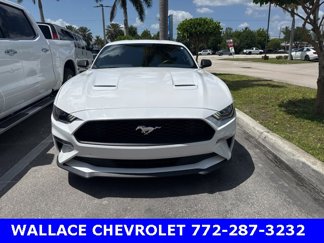 Used 2020 Ford Mustang Coupe w/ Equipment Group 101A image 1
