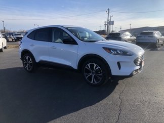 Used 2021 Ford Escape SE w/ SE Sport Appearance Package image 1