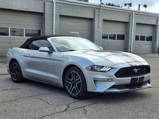 Certified 2019 Ford Mustang Premium image 1