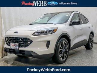 Used 2022 Ford Escape SE w/ SE Sport Appearance Package image 1