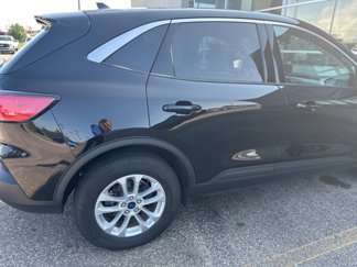 Used 2020 Ford Escape SE image 1