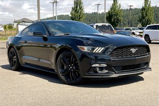 Used 2016 Ford Mustang Premium w/ Ecoboost Performance Package image 1