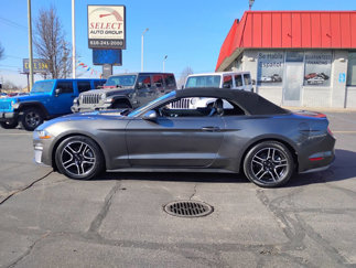 Used 2020 Ford Mustang Premium image 1