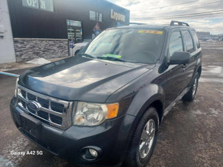 Used 2009 Ford Escape XLT image 1