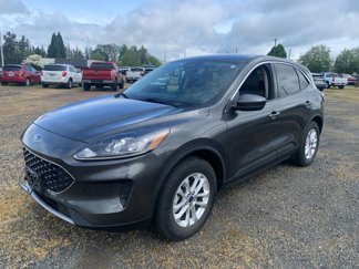 Used 2020 Ford Escape SE image 1