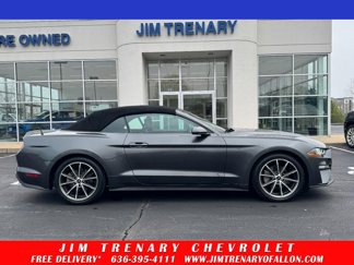 Used 2019 Ford Mustang Premium w/ Equipment Group 201A image 1