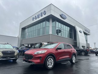 Used 2022 Ford Escape SE w/ Convenience Package image 1
