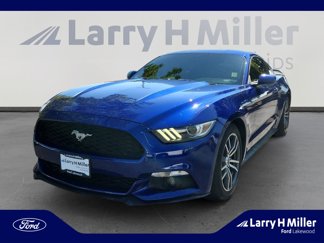 Used 2016 Ford Mustang Premium w/ Equipment Group 201A video 1