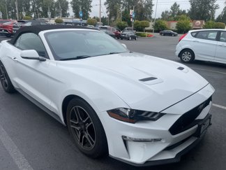 Used 2019 Ford Mustang Premium video 1